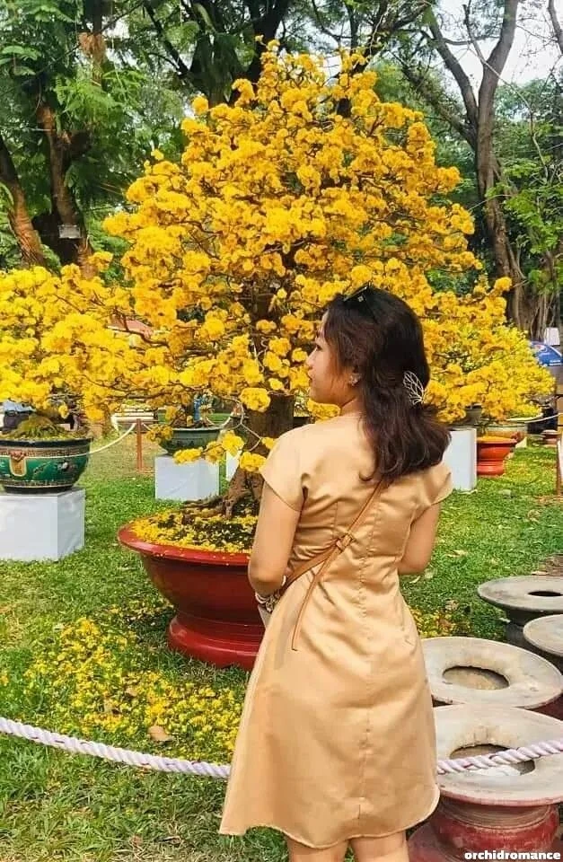 Cindy Profile image 1